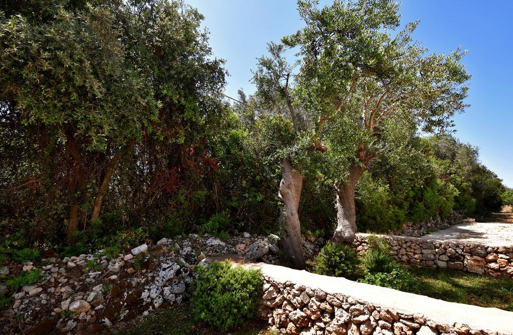 Masseria Pitanni Gallipoli Exterior foto
